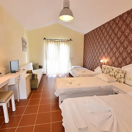Artemisia Royal Park Club 3* Олудениз