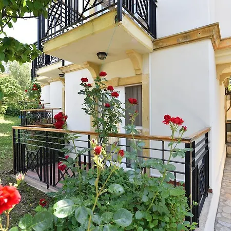 Отель Artemisia Royal Park Club
